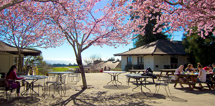 Cowell Courtyard