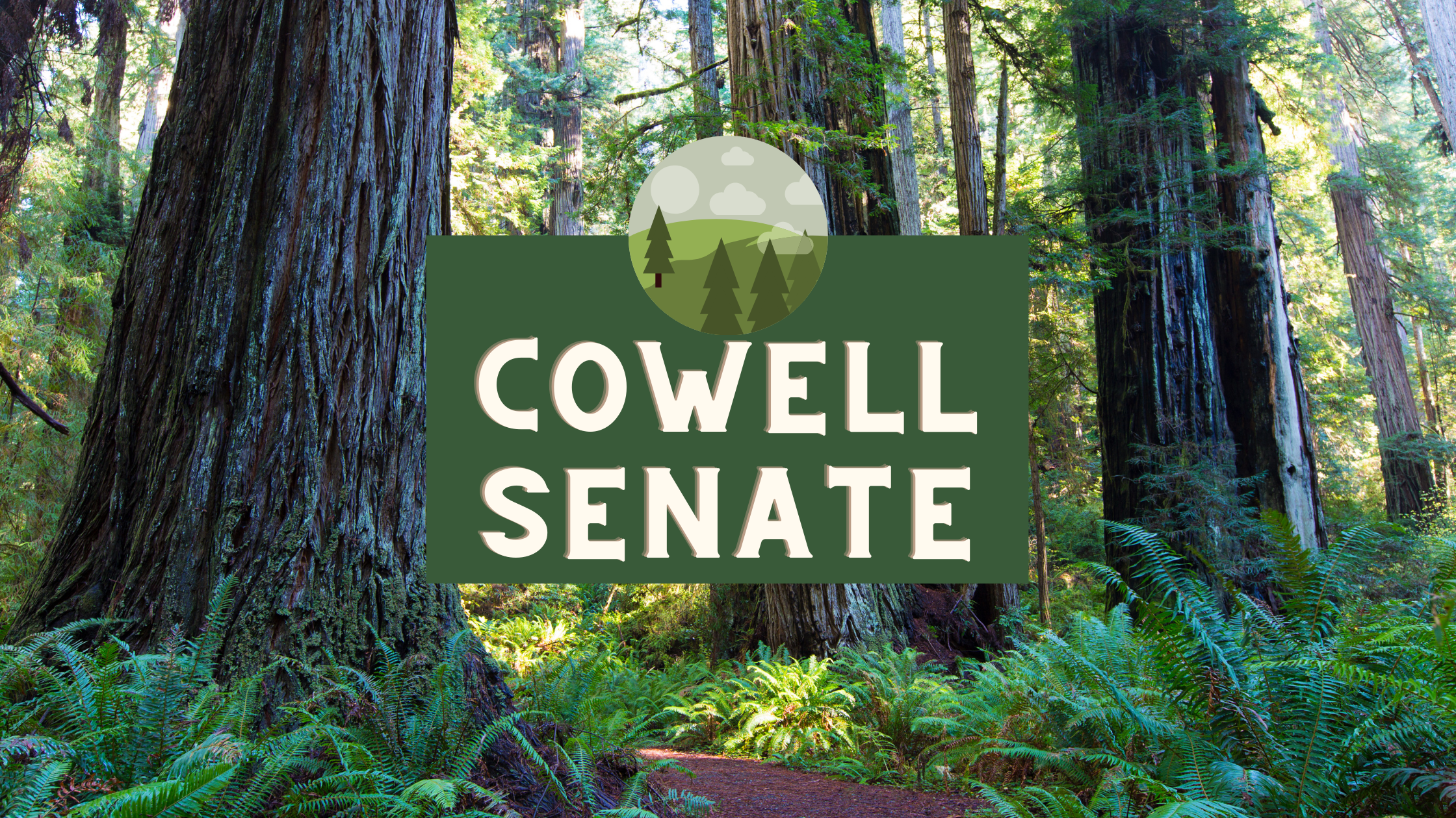 Cowell Senate Meeting